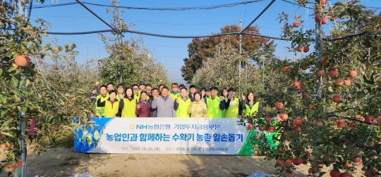 농협은행 임직원들이 가을 수확기 농촌 일손돕기에 나섰다. 기업투자금융부문 임직원들이 경기도 포천시 소재 사과농장에서 농촌 일손 돕기 활동 전 기념촬영을 하고 있다. 농협은행 제공
